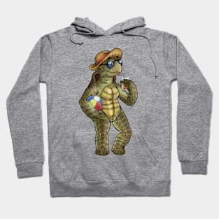 Chill Turtle Hoodie